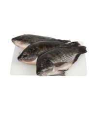 Tilapia congelé poisson à peser