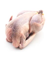 Petit poulet dur Africain congelé