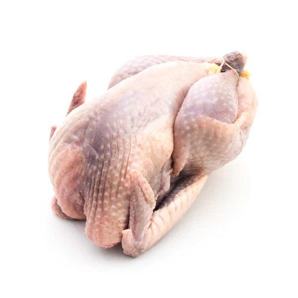 Petit poulet dur Africain congelé