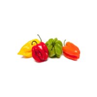 Piments fort  congelés en sachet