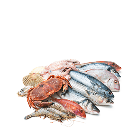 Fish and seafood